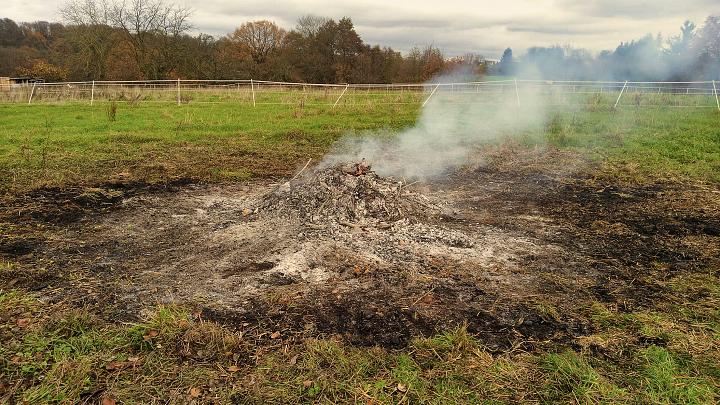 Bild: 20251129-171441.jpg